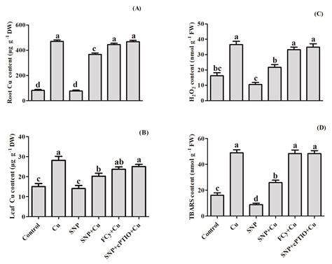 Plants Free Full Text Nitric Oxide Pre Treatment Advances Seed Germination And Alleviates