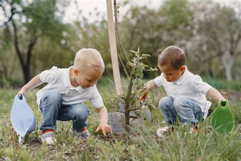 Niños Lindos Plantando Un árbol En Un Parque Imagen de archivo Imagen