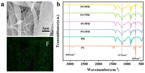 Membranes Free Full Text Fabrication Of Ps Pvdf Hfp Multi Level