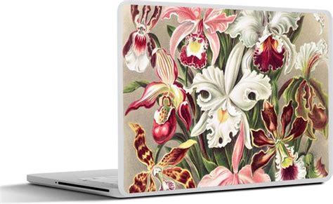 Laptop Sticker Inch Bloemen Ernst Haeckel Vintage