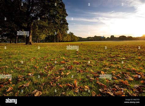 Hackney & Stratford Location Photography in East London Stock Photo - Alamy