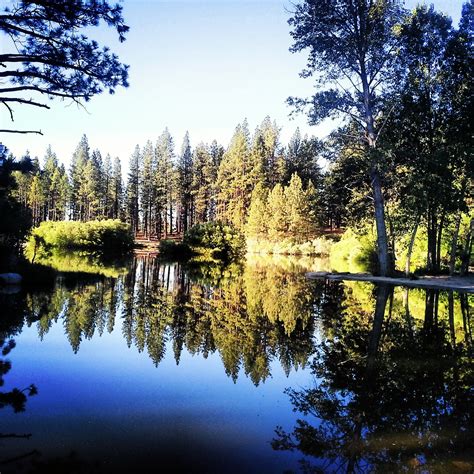 Free Images : landscape, tree, water, nature, forest, wilderness ...