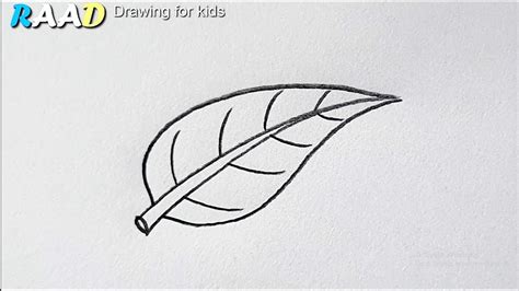 How To Draw A Leaf Pata Drawing Easy Pencil Drawing Youtube