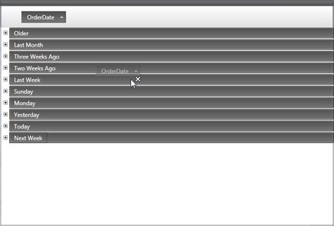 User Interaction When Grouping Records Xamdatagrid Infragistics Wpf