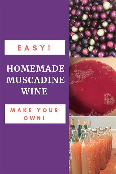 DIY Muscadine Wine Recipe