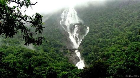 Dudhsagar Waterfall Trek | Treks and Trails India