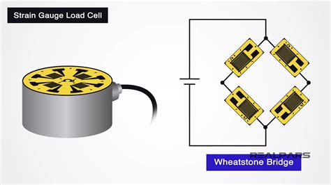 What is a Load Cell? | Types of Load Cells - RealPars