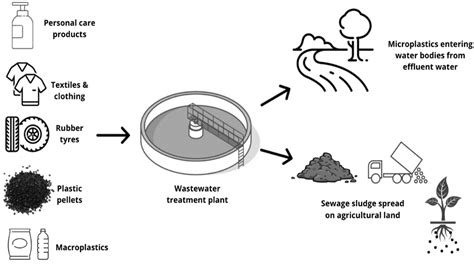 Study On Sludge To Find Potential Usage As Fertilizer Believers IAS