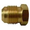 Everbilt In Flare Brass Plug Fitting The Home Depot