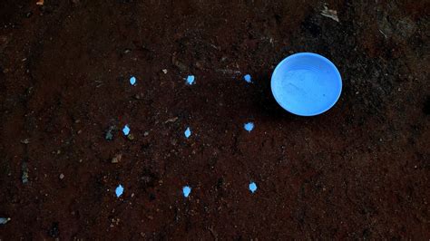 3 3 Dots Panguni Madham Kolam Easy And Simple 3 Dots Kolam Panguni