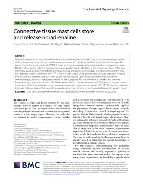 (PDF) Connective tissue mast cells store and release noradrenaline