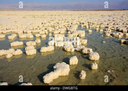 Dead sea Salt formations, Israel Stock Photo - Alamy