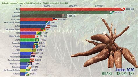 Ranking da Produção de Mandioca nos Estados do Brasil Biology Map