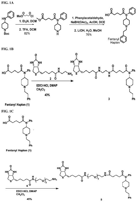 Opioid Haptens Conjugates Vaccines And Methods Of Generating