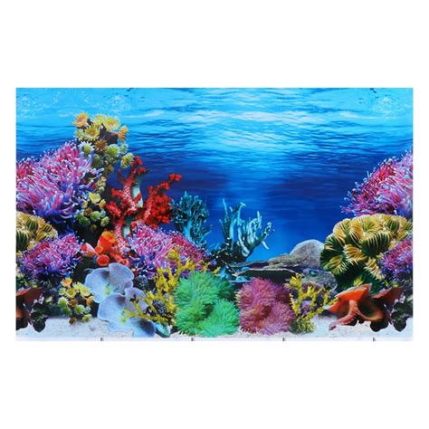 Fish Tank Backgrounds Printable