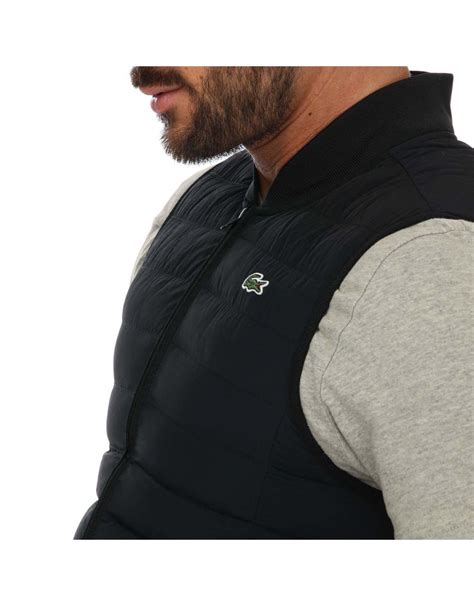Buy Lacoste Vests in Saudi, UAE, Kuwait and Qatar | VogaCloset