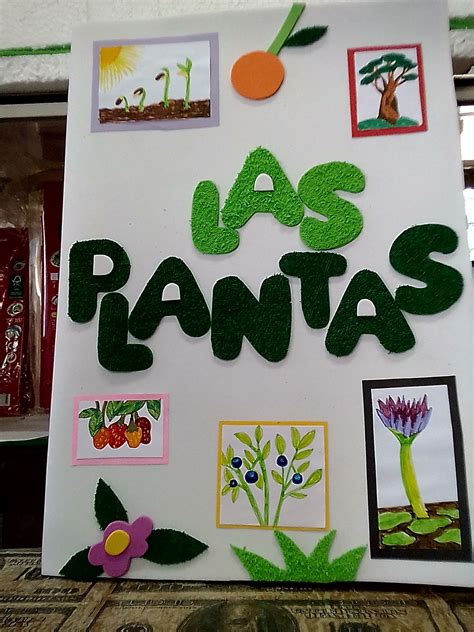 Carpeta Creativa Sobre Las Plantas Carpetas Decoradas Creatividad