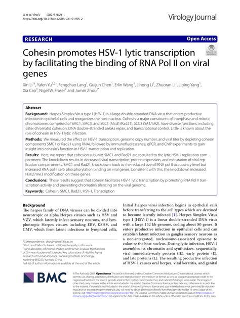 Pdf Cohesin Promotes Hsv Lytic Transcription By Facilitating The