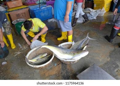 Pontian Fish Market Pasar Awam Pontian Stock Photo 1175964136