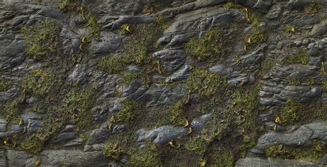 Mossy Cliff Rock 001 PBR Texture by Radju