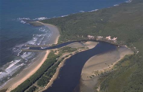 Wooli Wooli River | NSW Environment, Energy and Science