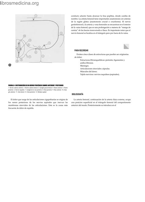 Anatom A Humana En Casos Clinicos Pdf