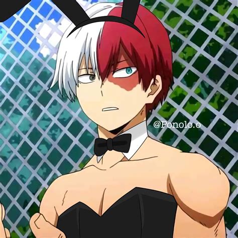 Shoto Todoroki Bunny Suit