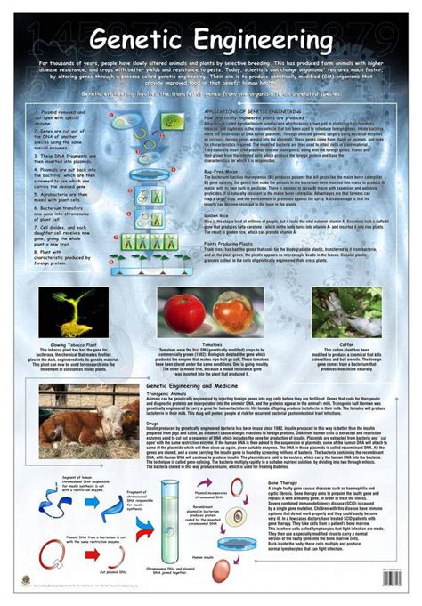 Chart Genetic Engineering Rutland Industries