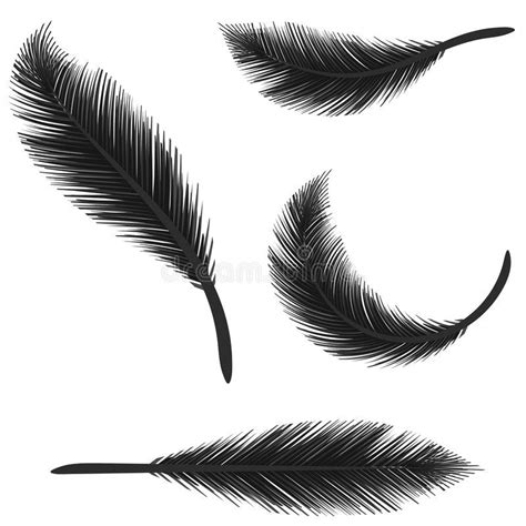 Three Black Feathers On White Background Royalty Illustration