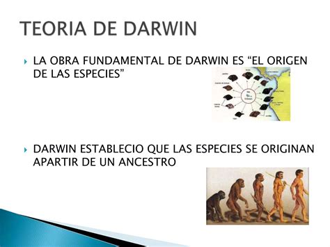 Teoria De Darwin Y Evolucion Ppt