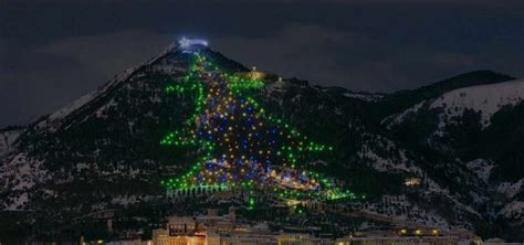 Albero Di Natale Di Gubbio Dago Fotogallery