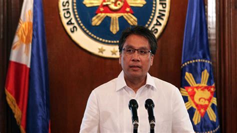 Mar Roxas on 2016 election: I can defeat Binay – again