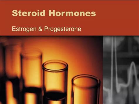 Ppt Steroid Hormones Powerpoint Presentation Free Download Id 526563