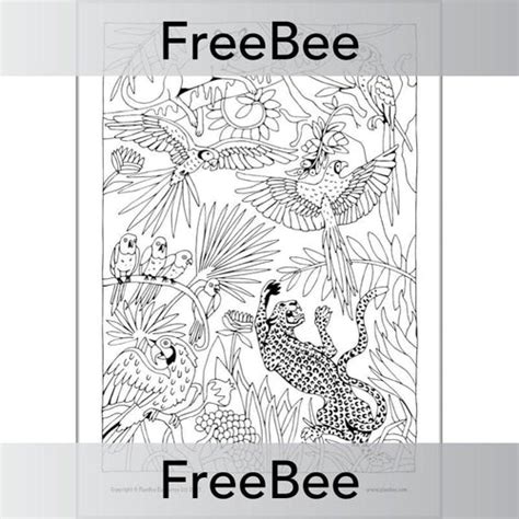 Easy Rainforest Coloring Pages