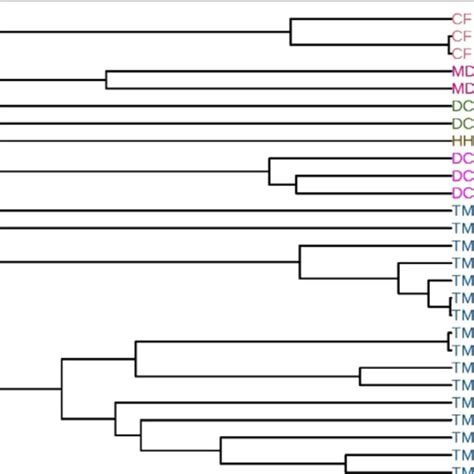 Phylogenetic Tree Of The Hrvs And Hev Cs Constructed By Fegs