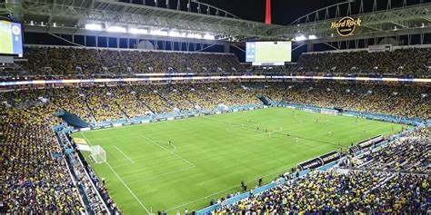 Final Copa America Estadio Janaya Angelita