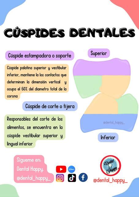 Cuspides Dentales Alan Díaz Udocz