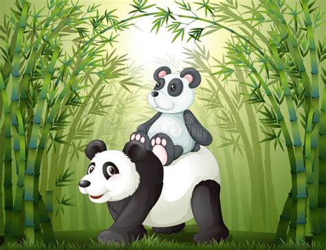 Dos Pandas En El Bosque De Bambú Stock de ilustración Ilustración de