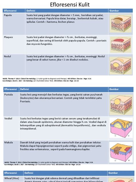 Efloresensi Kulit Pdf