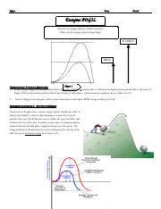 Enzyme Pogil Wrksht Docx Name Date Period Enzyme Pogil How Does An