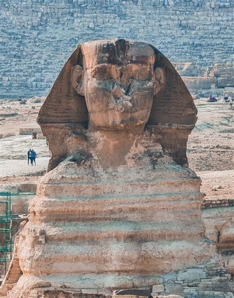 Sphinx in Giza · Free Stock Photo