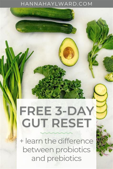 Reset Your Gut In 3 Days Gut Reset Diet Healthy Gut Healing Recipes