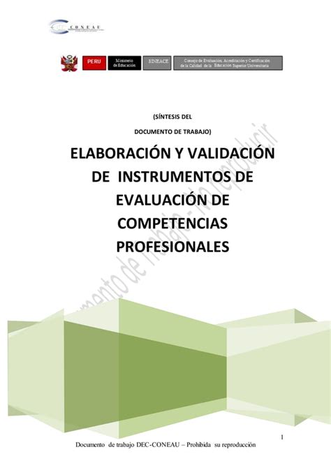 Guia Elaboracion Instrumentos Evaluacion Pdf