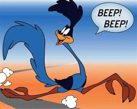 The Road Runner Looney Tunes Characters Looney Tunes Cartoons Favorite Cartoon Character