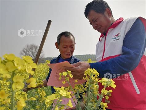 江西泰和：春耕备耕宣传忙 视觉江西 大江网首页