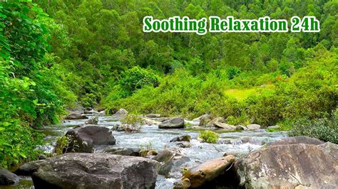 Soothing Relaxing Music Relieves Fatigue Relieves Stress Healing