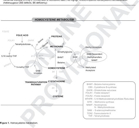 Figure 1 From Genetics Of Homocysteine Metabolism And Associated