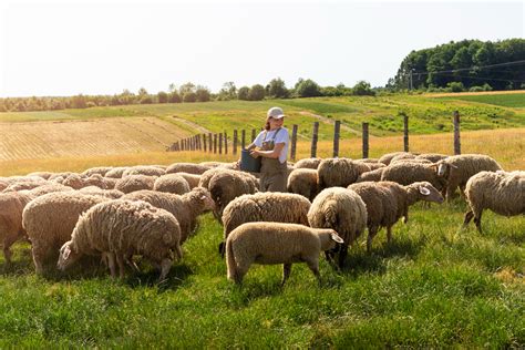 Praktika & Farmstay mit CAMPS International