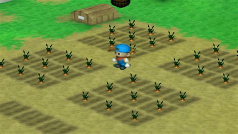 Harvest Moon Back To Nature Crop Guide Onion GamerZenith