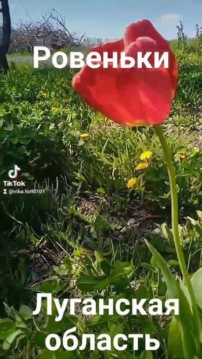 Донбасс - YouTube